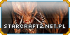 StarCraft 2: Starcraft2.Net.pl - Wszystko o StarCrafcie II